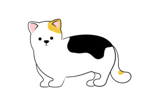 Midget Cats Land - Munchkin Cat for sale logo